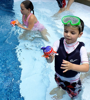 shark pool party