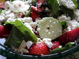 cold salad recipes