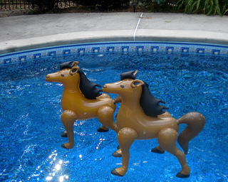 pool party decorations